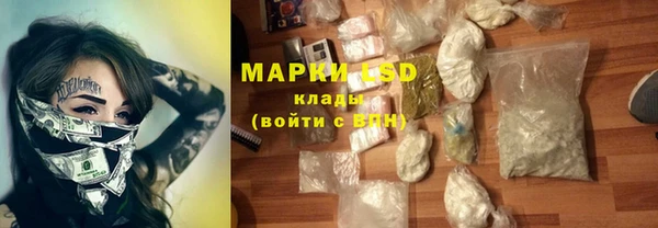мяу мяу мука Аркадак